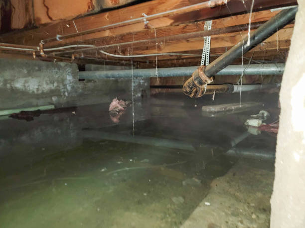 24/7 water damage repair in Haleyville, AL