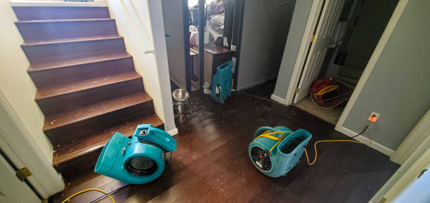 Best Residential water damage restoration  in Heyville, AL