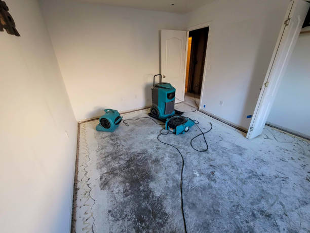Best Water damage restoration near me  in Heyville, AL