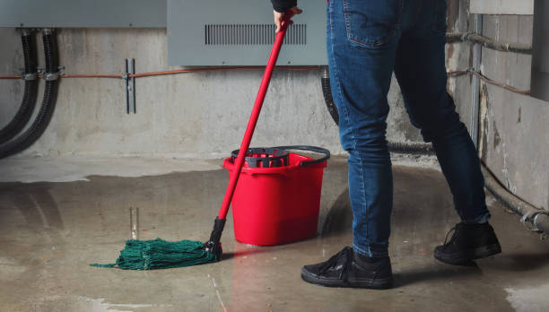 Local water damage restoration in Haleyville, AL
