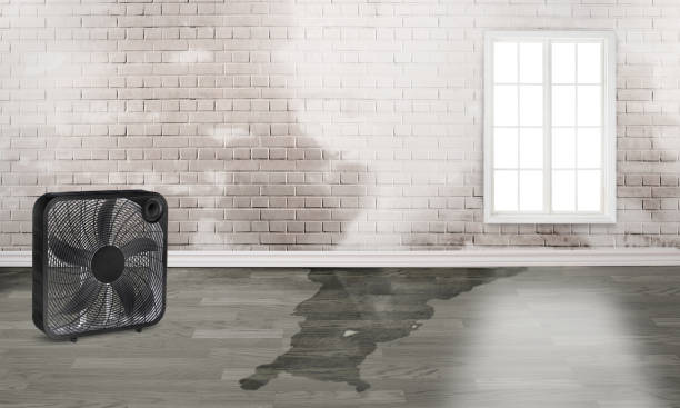 Water damage restoration experts in Haleyville, AL